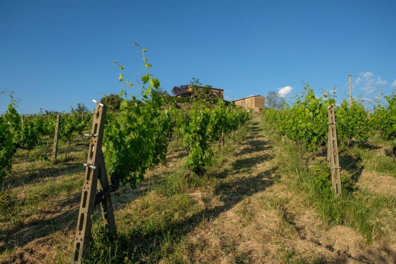Borgo Amarrante Villa Montaione Dış mekan fotoğraf